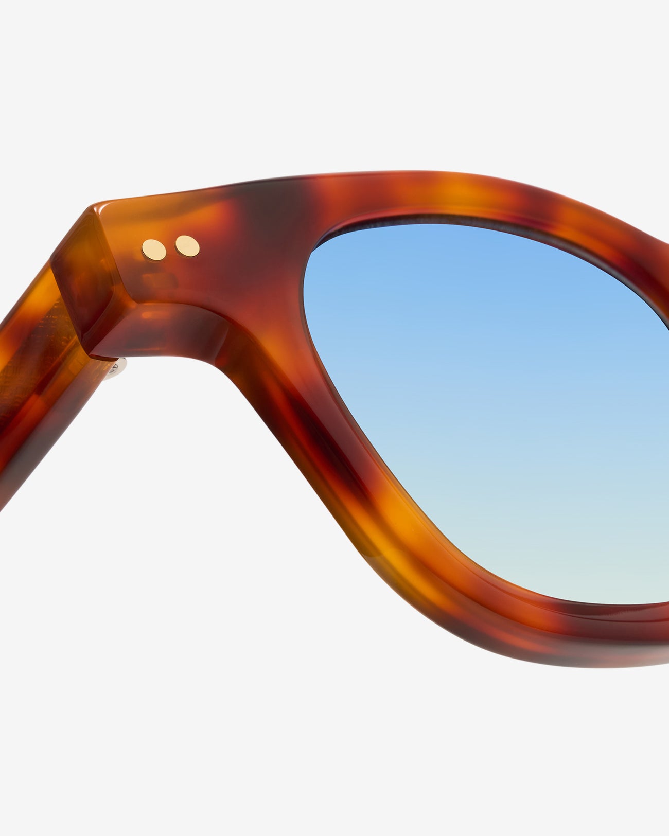 Bruce Tortoise - Sunglasses