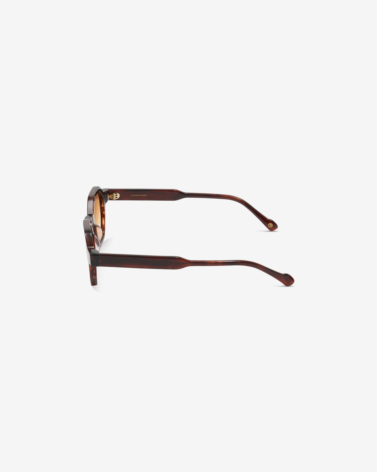 Dustin Dark Tortoise - Sunglasses