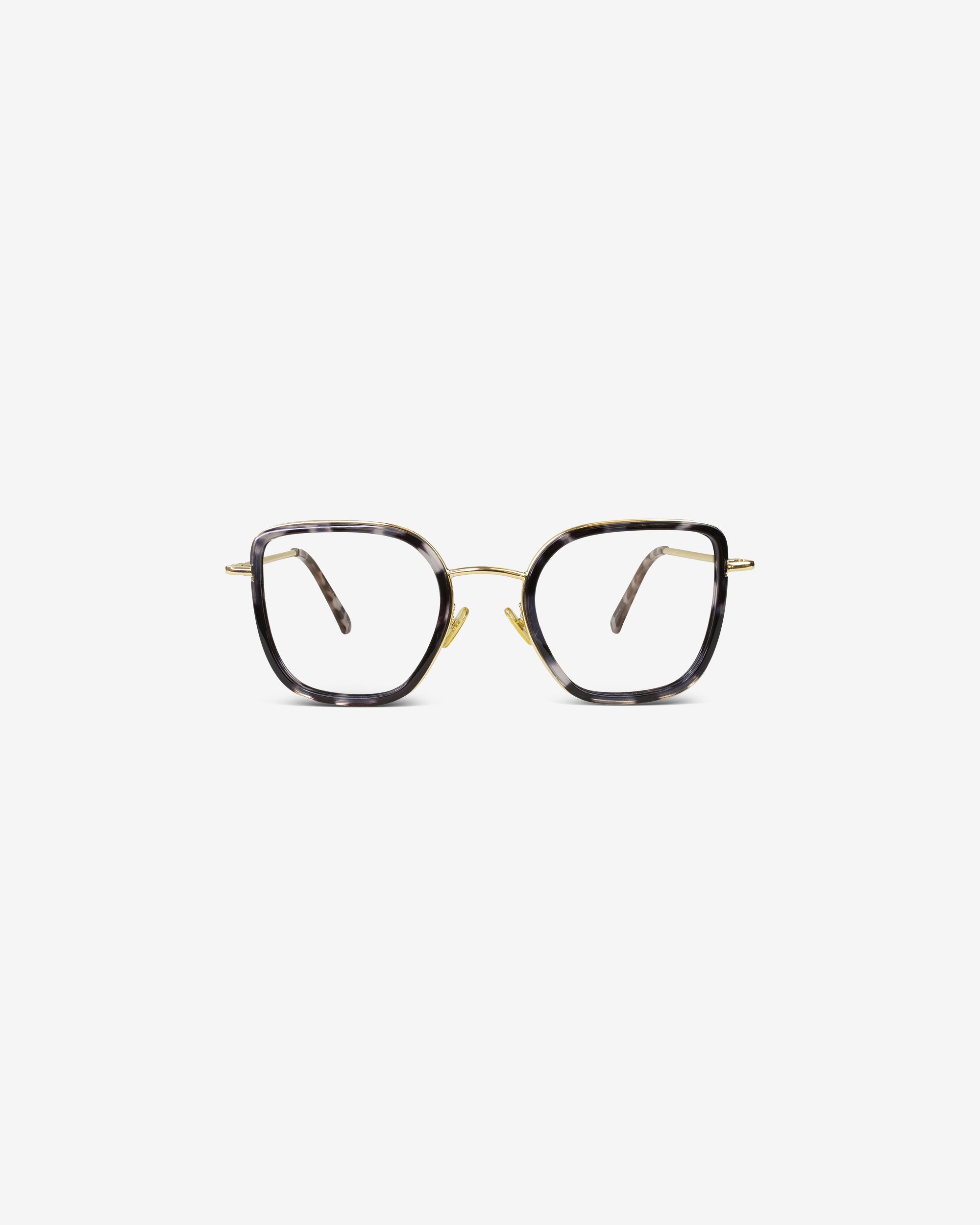 Ginny.M Black / Havana - Blue Light