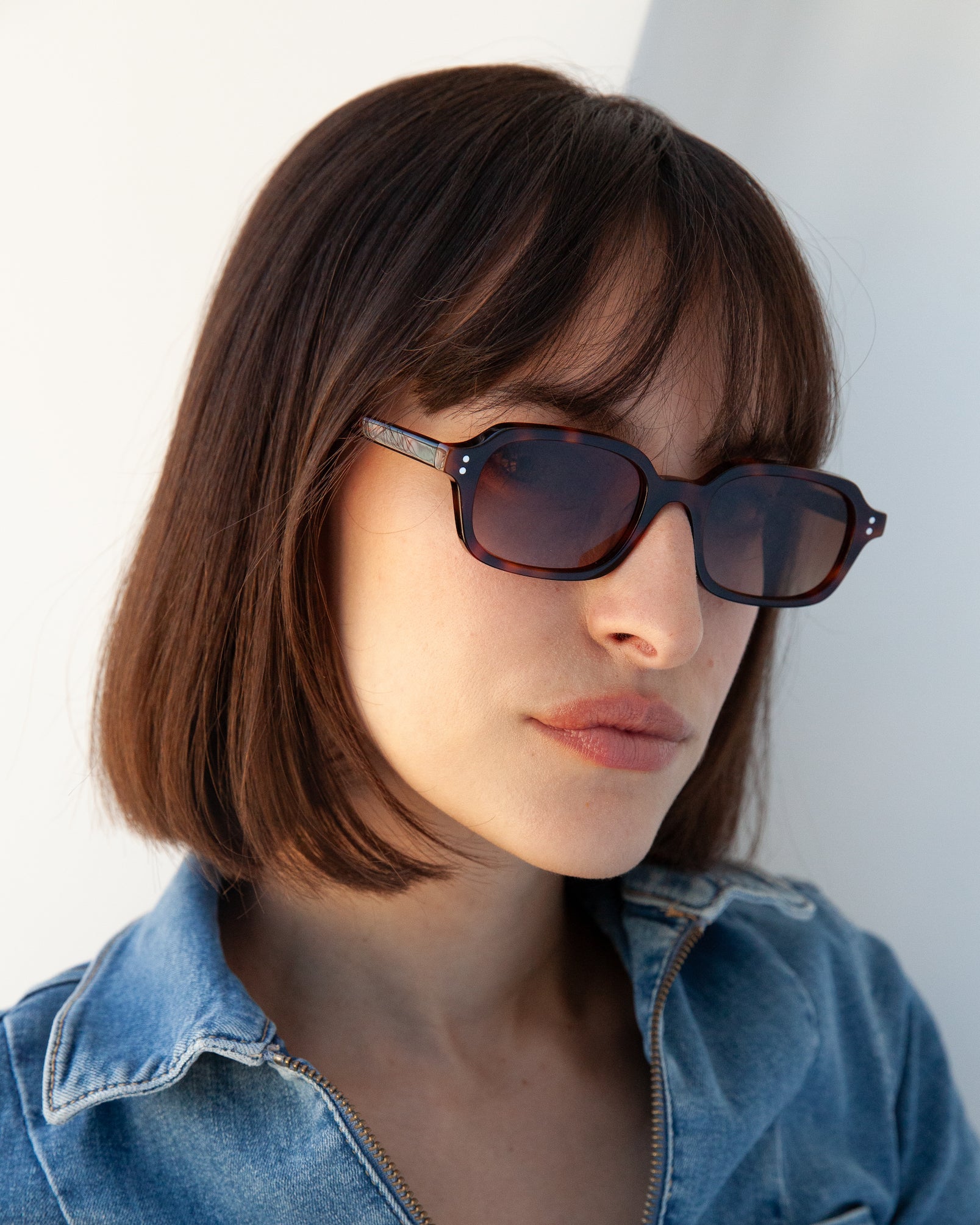 Ren Ecaille - Solaire