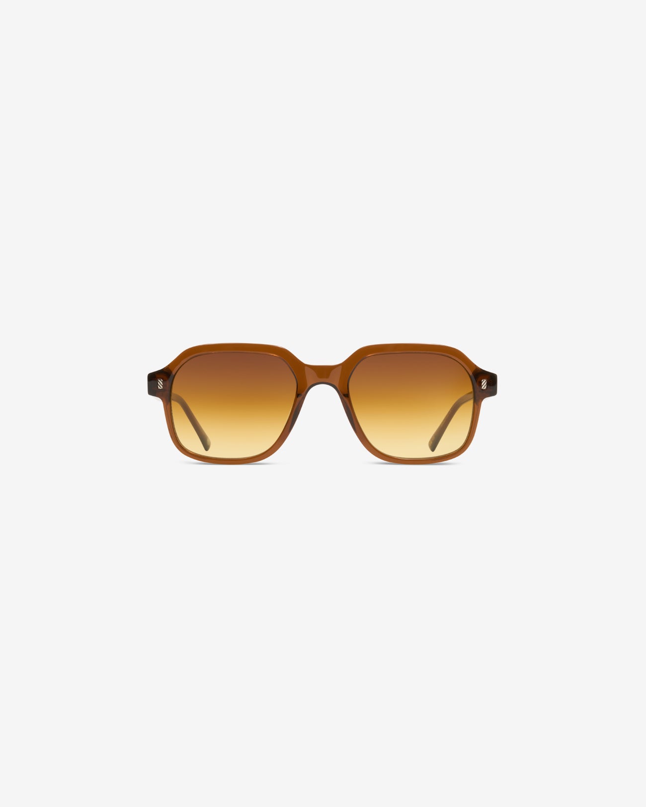 Lunettes de soleil Charles Marron — monture pantos acétate, vue de face