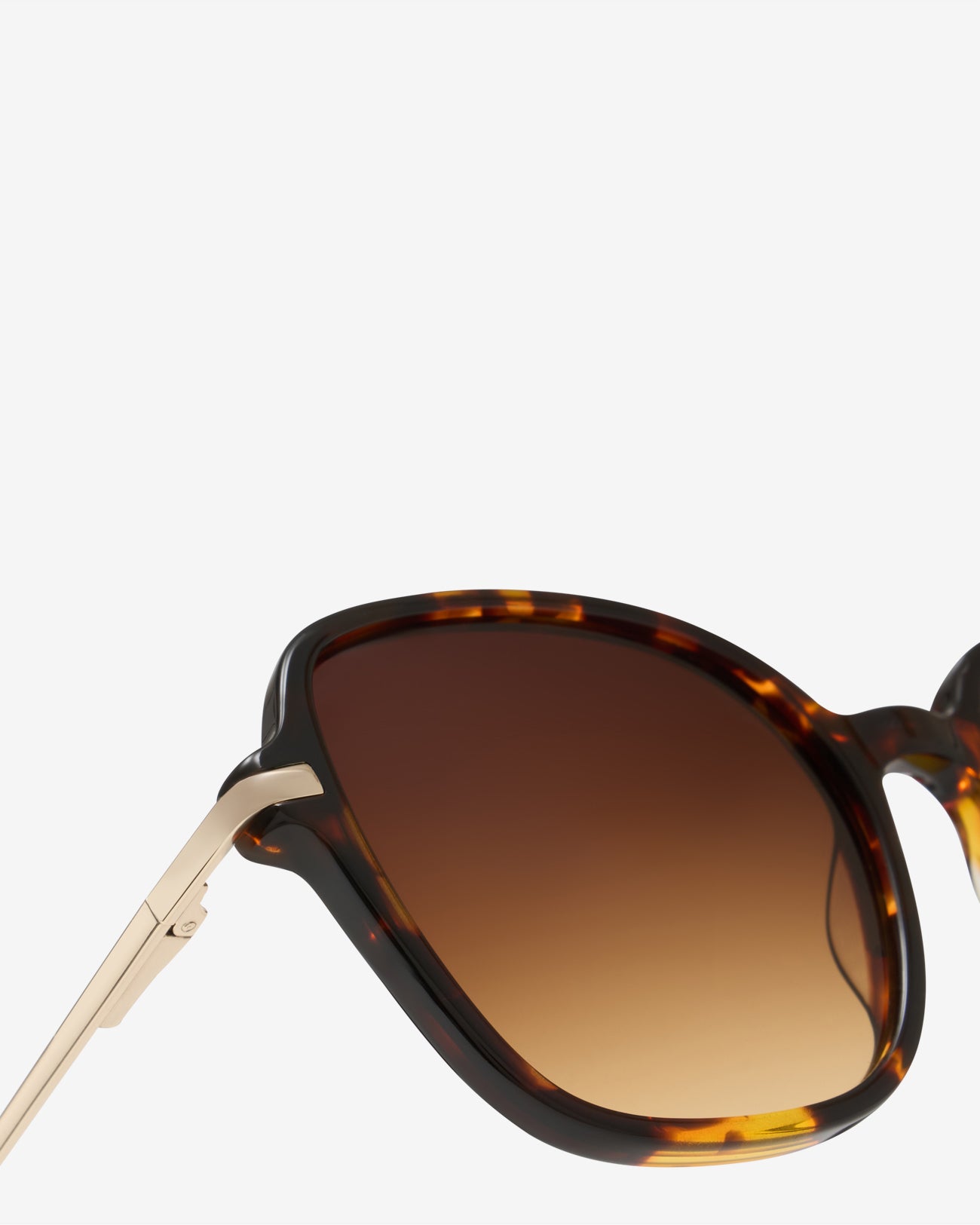 Annie.J Brown / Havana - Sunglasses