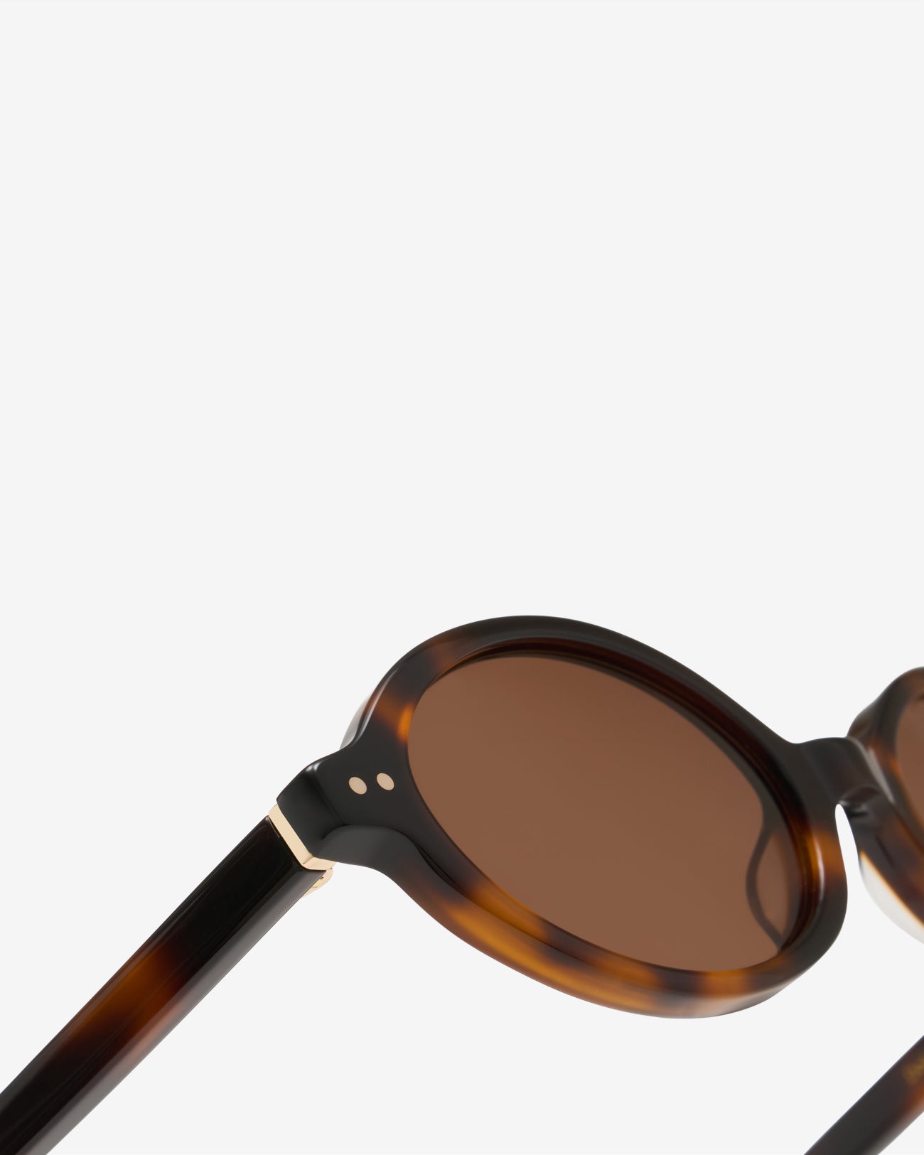 Dolores Brown / Havana - Sunglasses