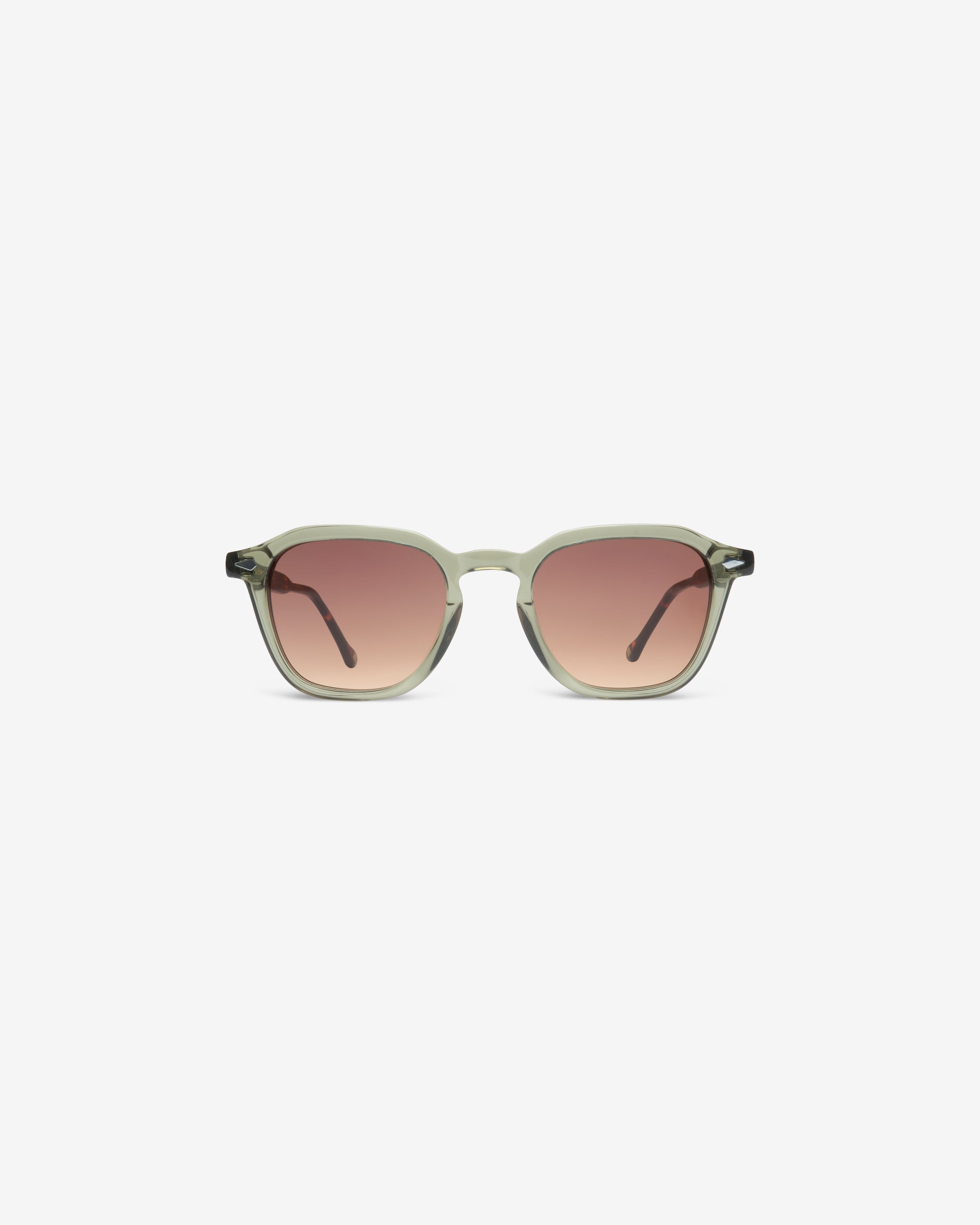 Corlys Olive - Solaire