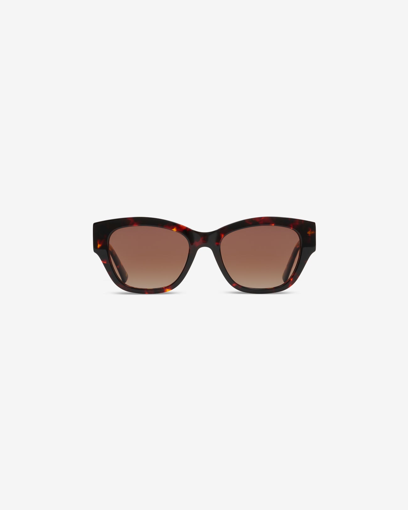 Lunettes de soleil Chloe Ecaille — monture oversize acétate, vue de face