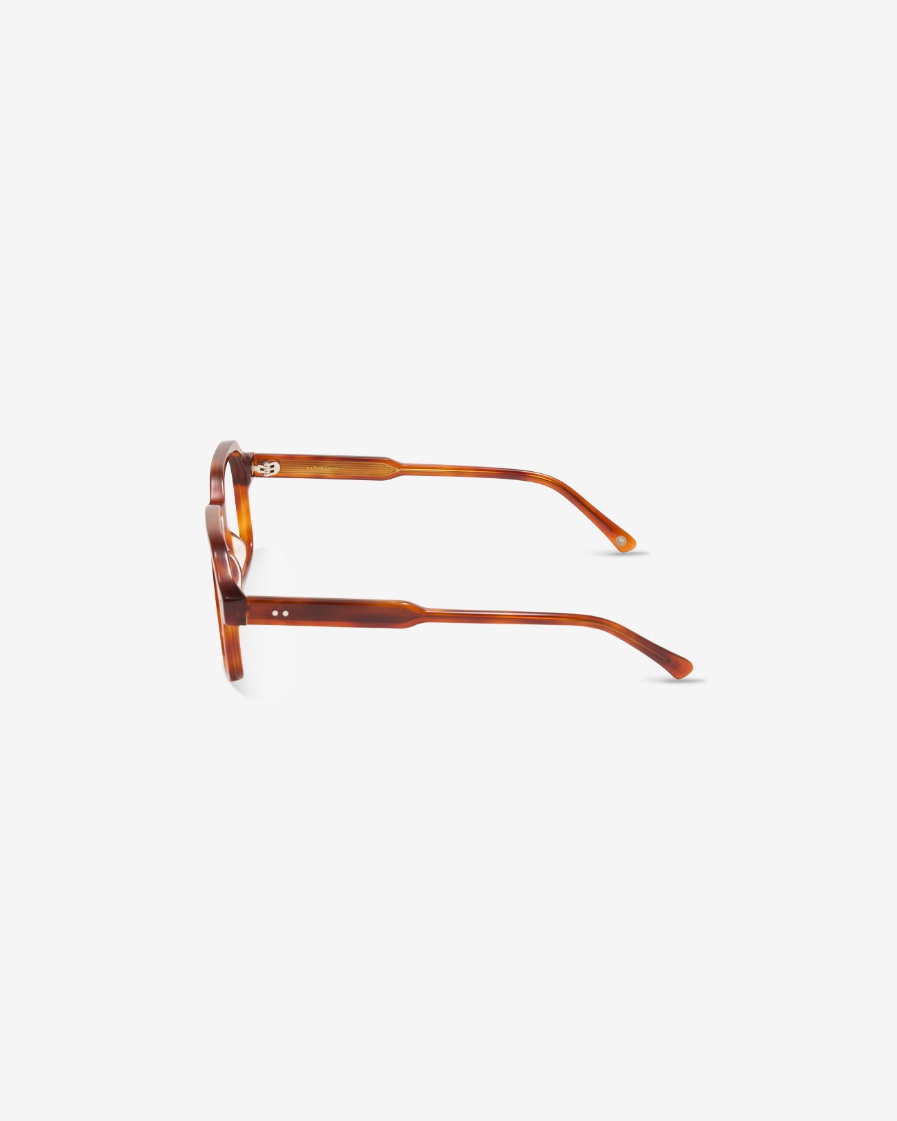 Lunettes de vue Charles Acajou — monture pantos acétate, vue de profil