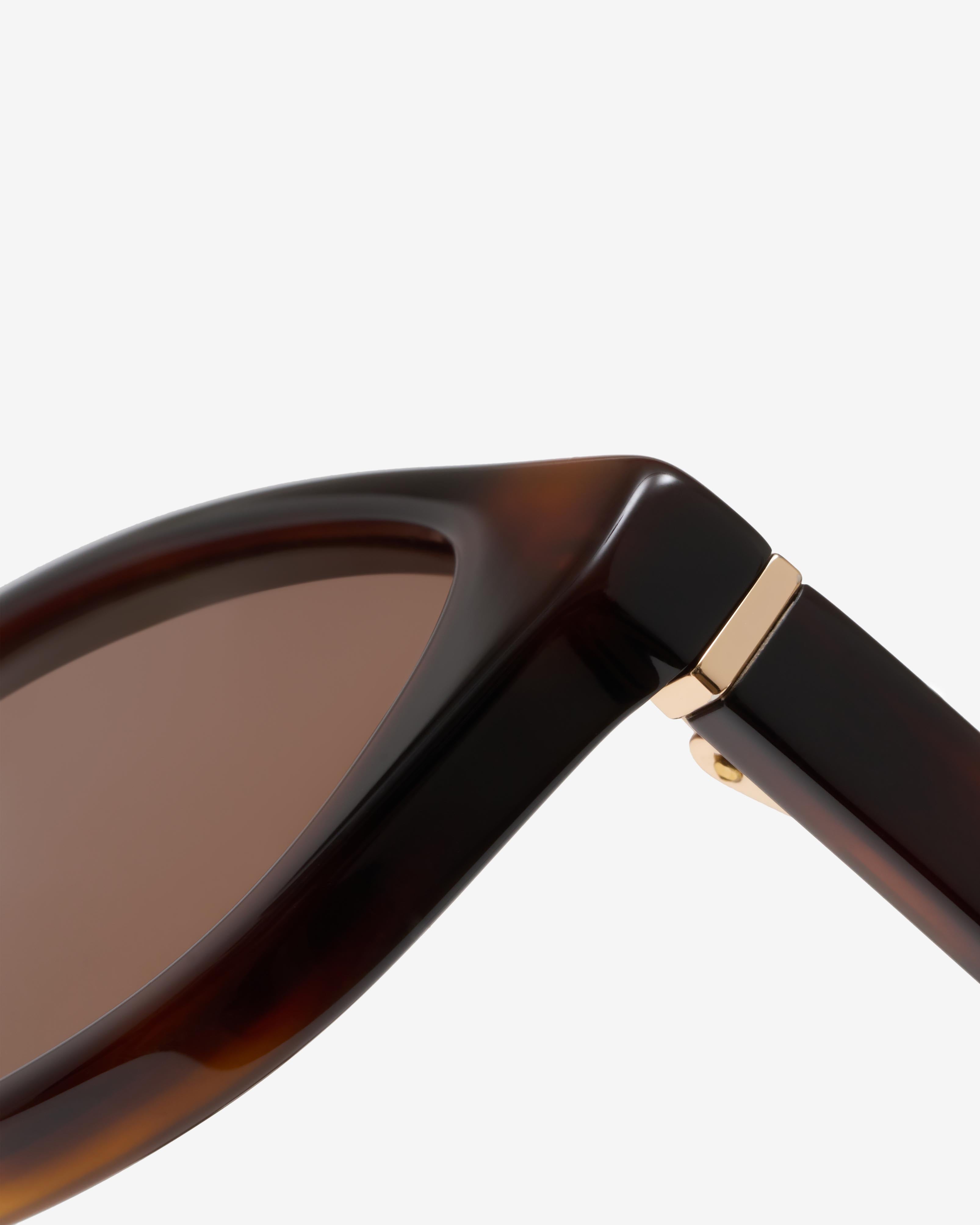 Miranda Ecaille - Solaire