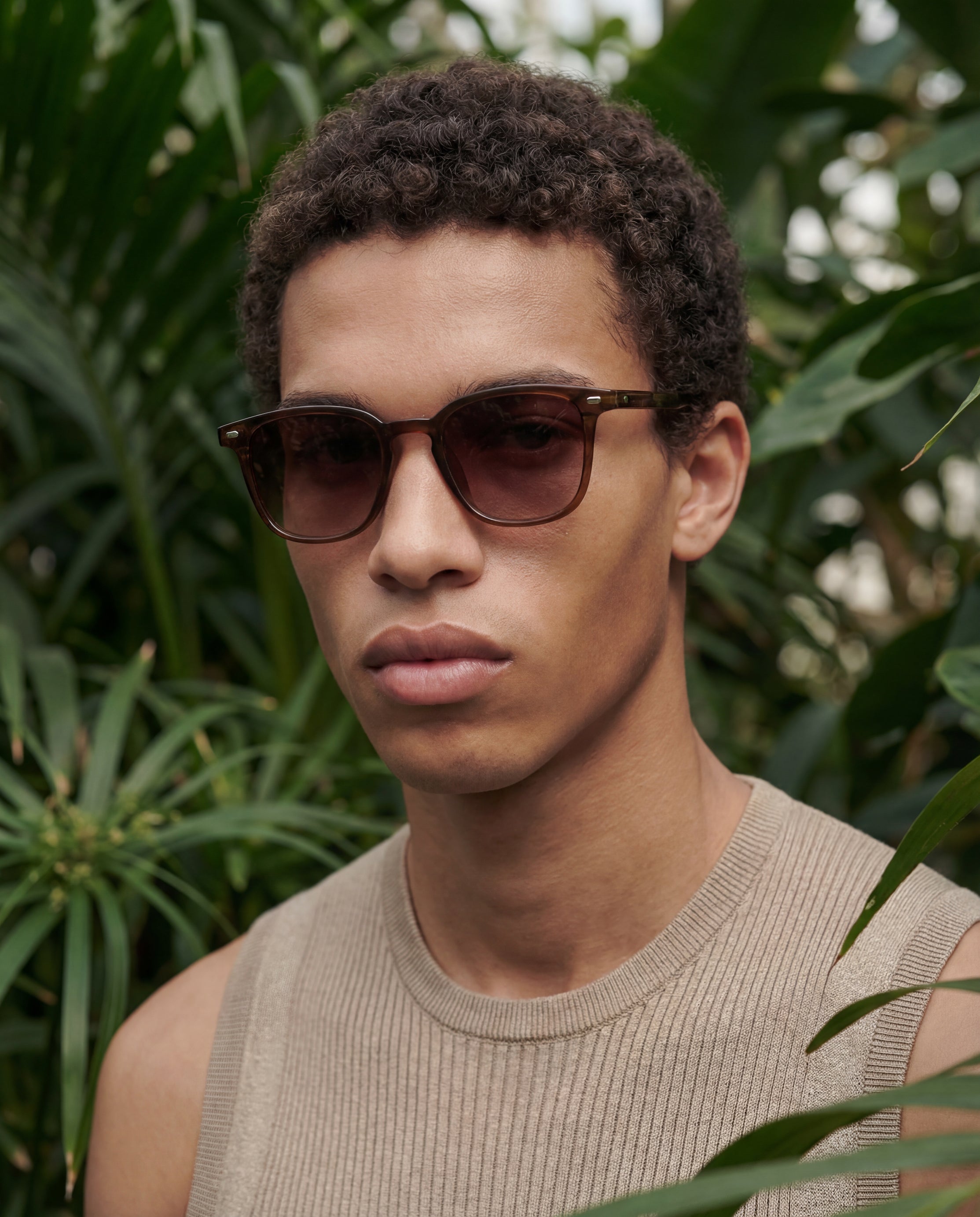 Norris Marron - Solaire