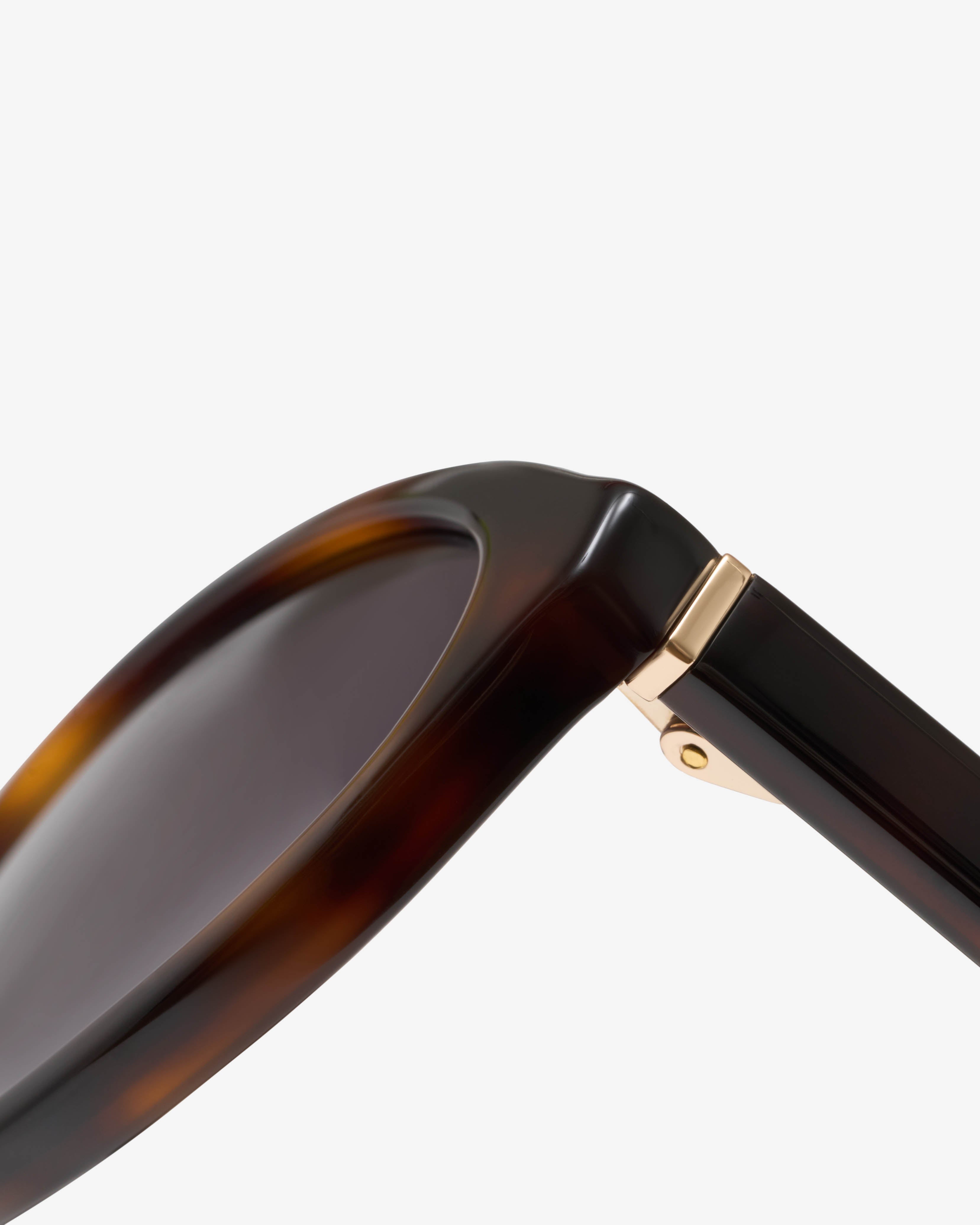 Ashbury Ecaille - Solaire