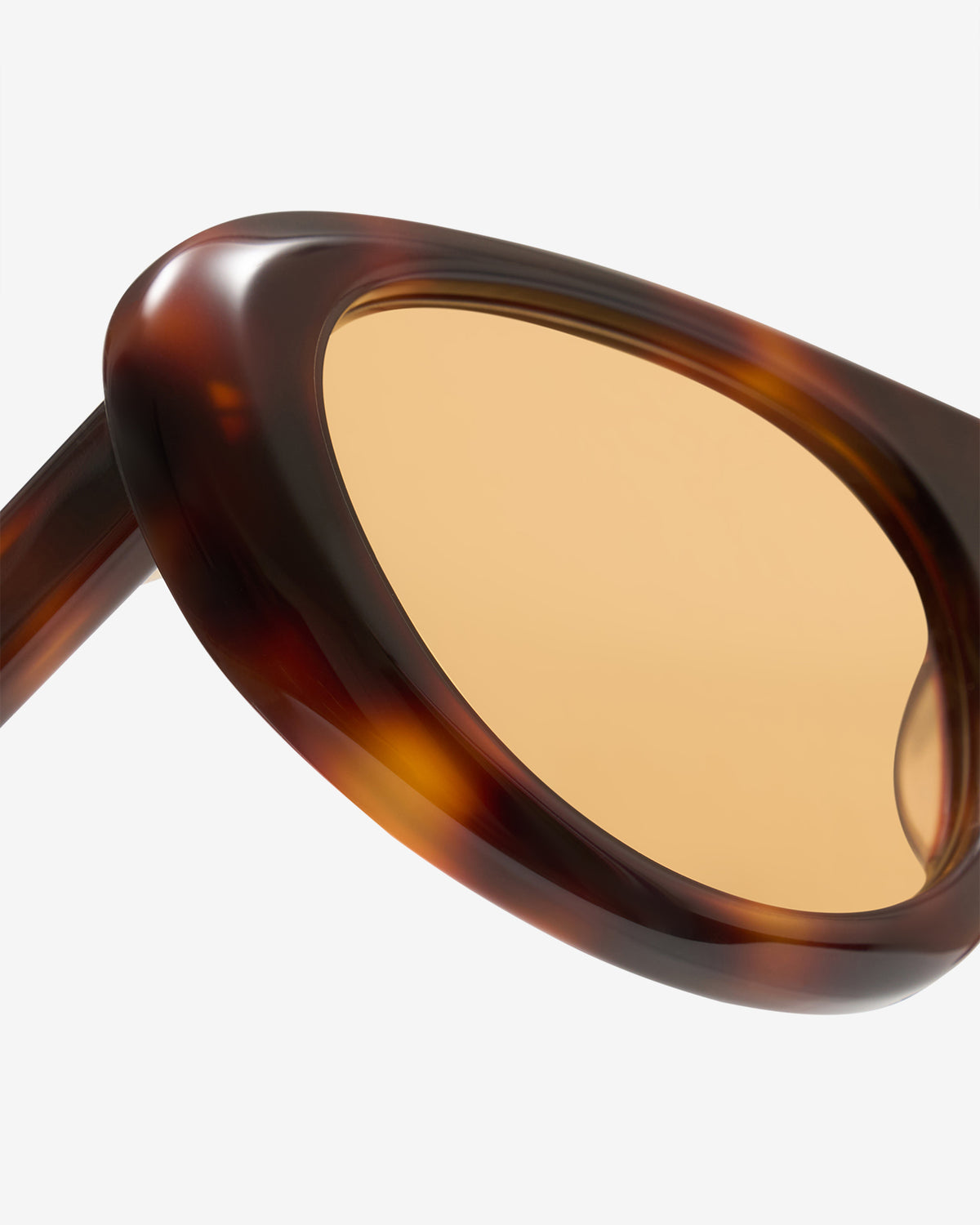Lunettes de soleil Alicia Ecaille — gros plan sur la charnière