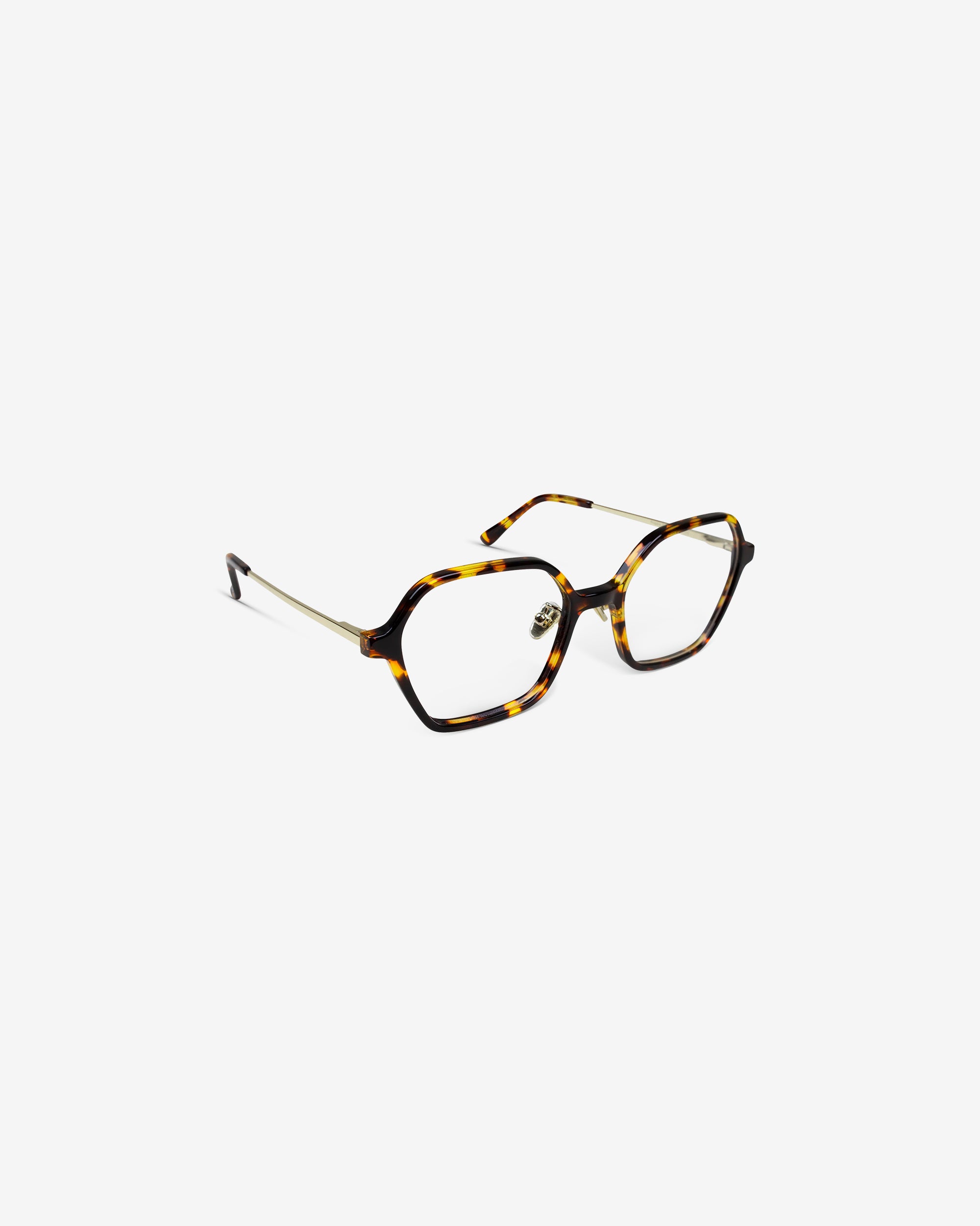 Auggie.S Brown / Havana - Blue Light