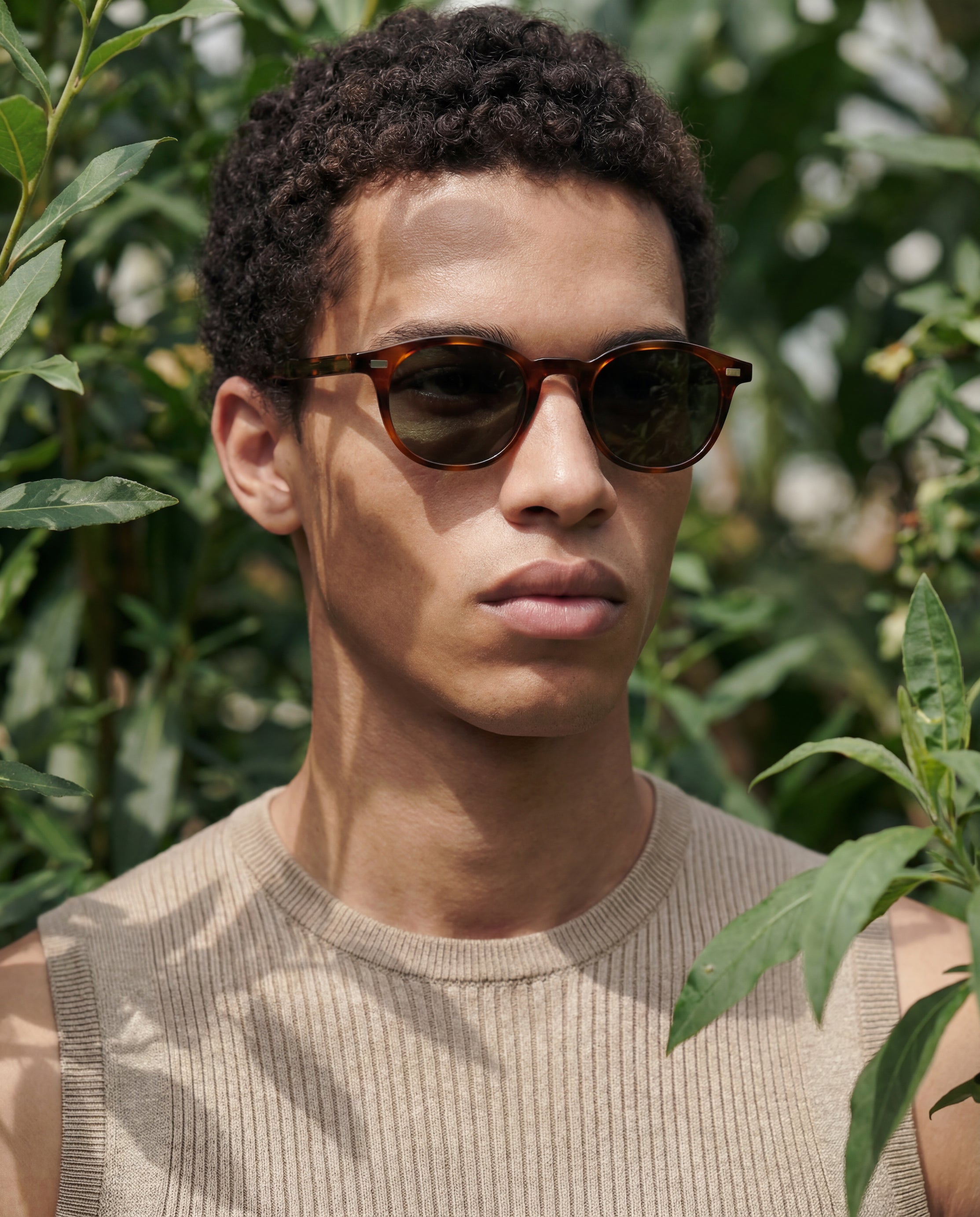 Doron Ecaille - Solaire