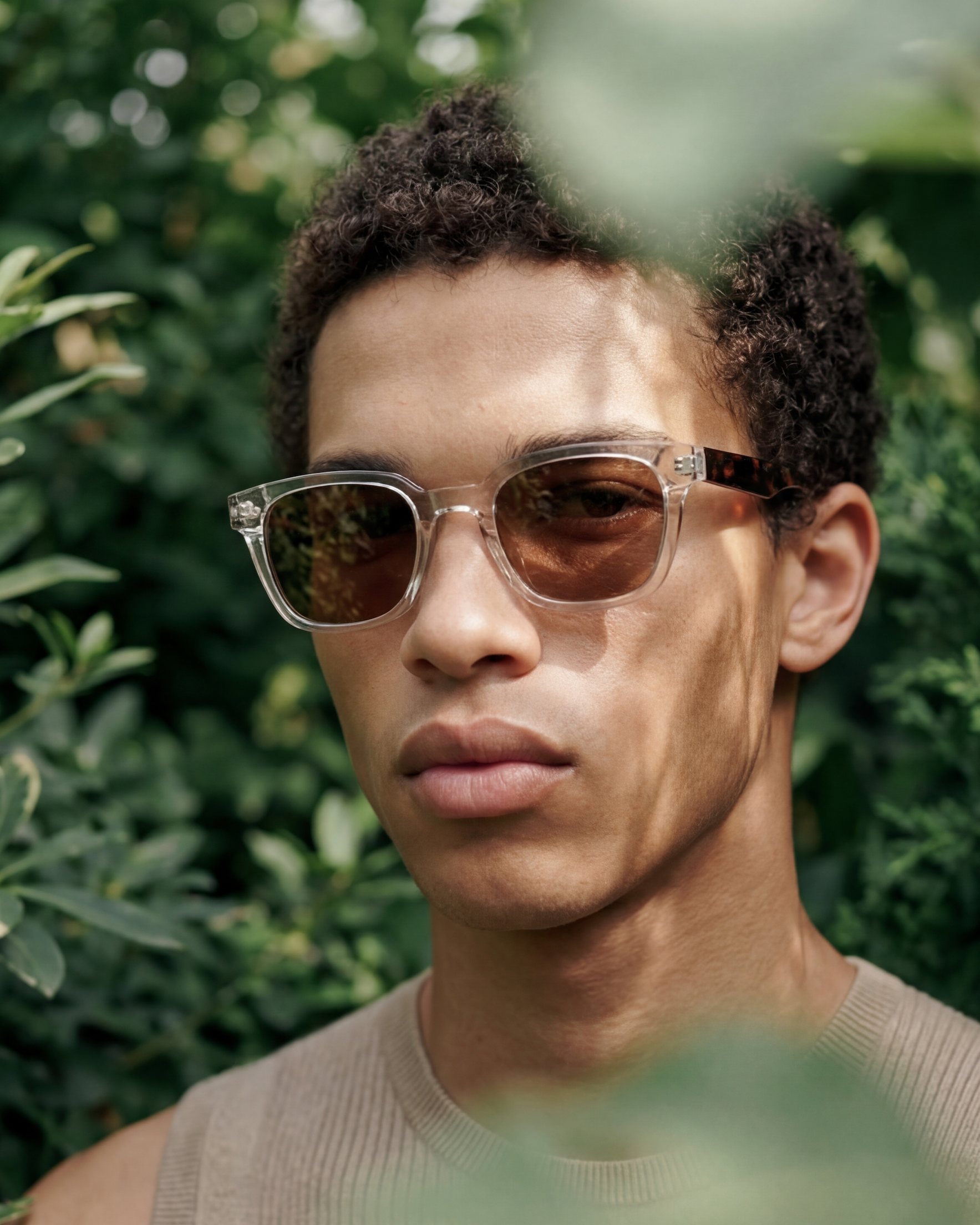 Jonathan Transparent et Marron - Solaire