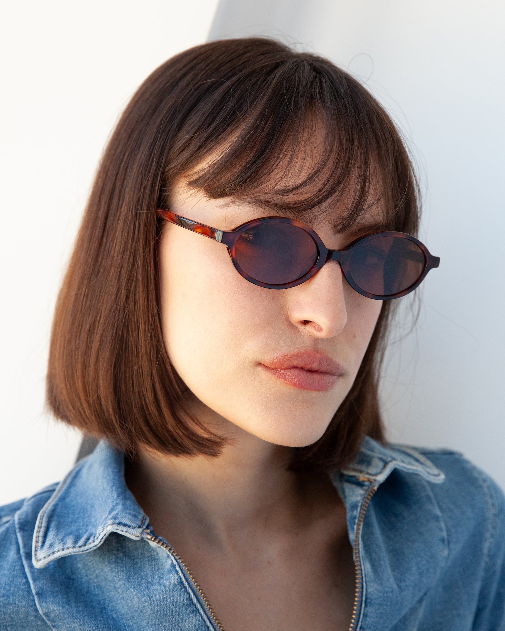 Dahlia Ecaille - Solaire