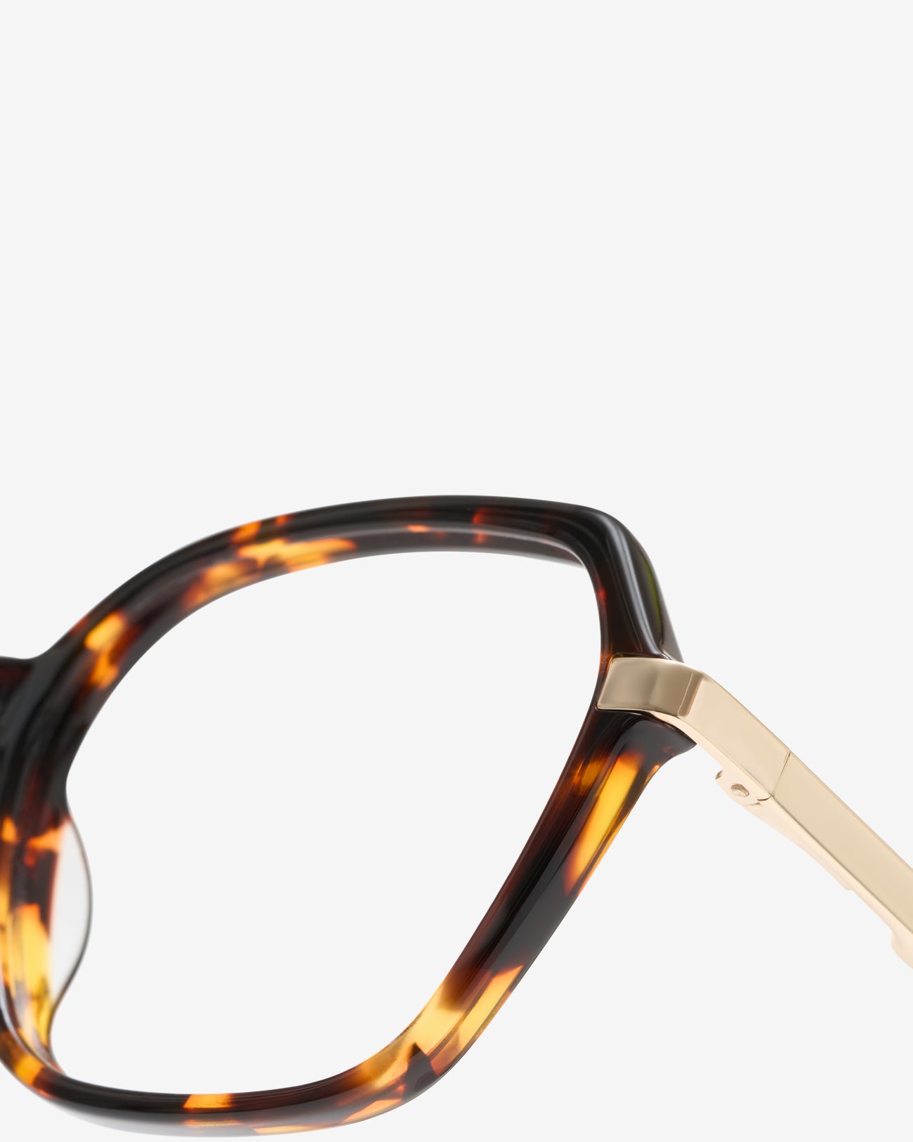 Musa Écaille - Lumière Bleue