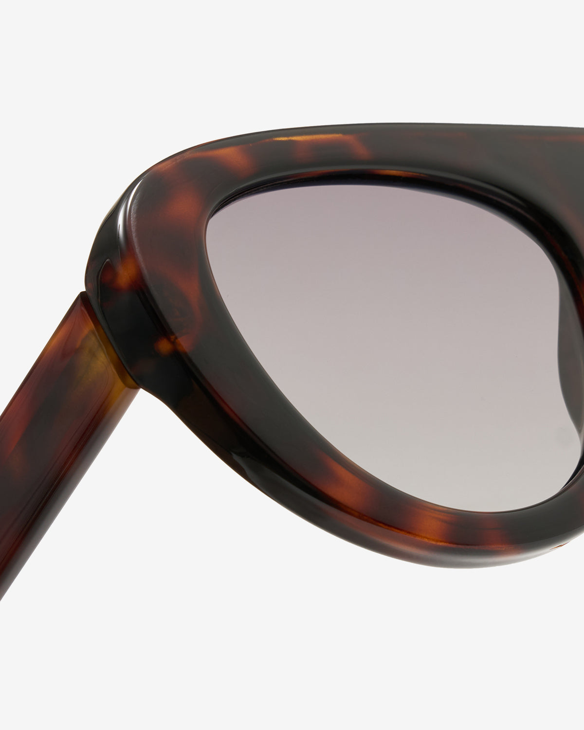 Gros plan sur la monture oversize acétate des lunettes de soleil Gloria Ecaille