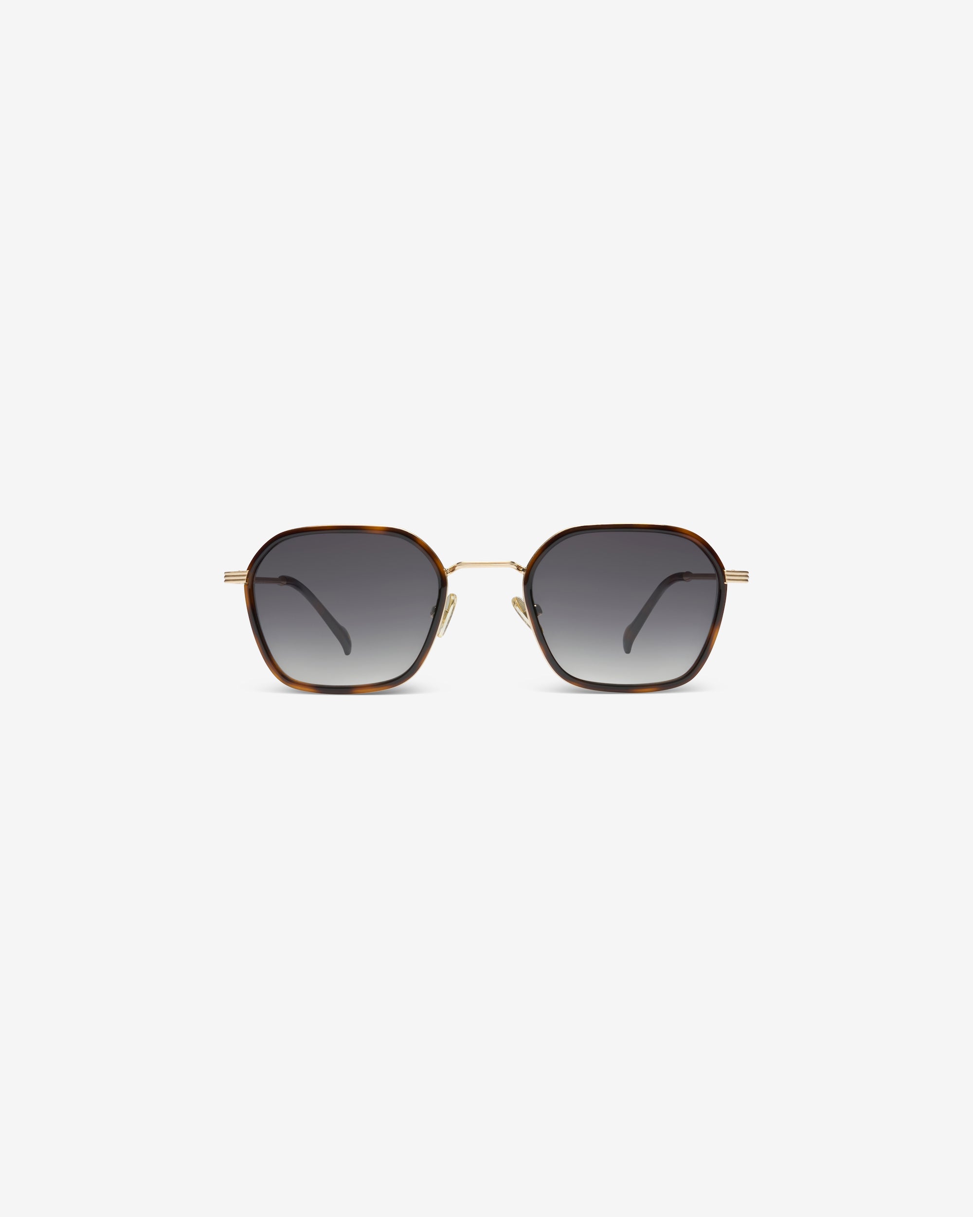 Taylor Brown / Havana - Sunglasses