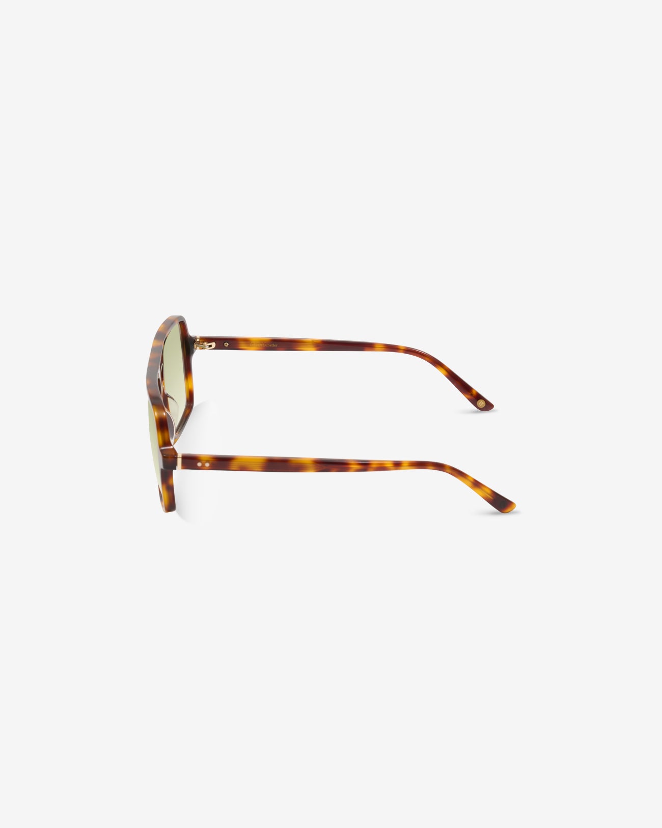 Lunettes de soleil Lewis Ecaille — monture aviateur acétate, vue de profil