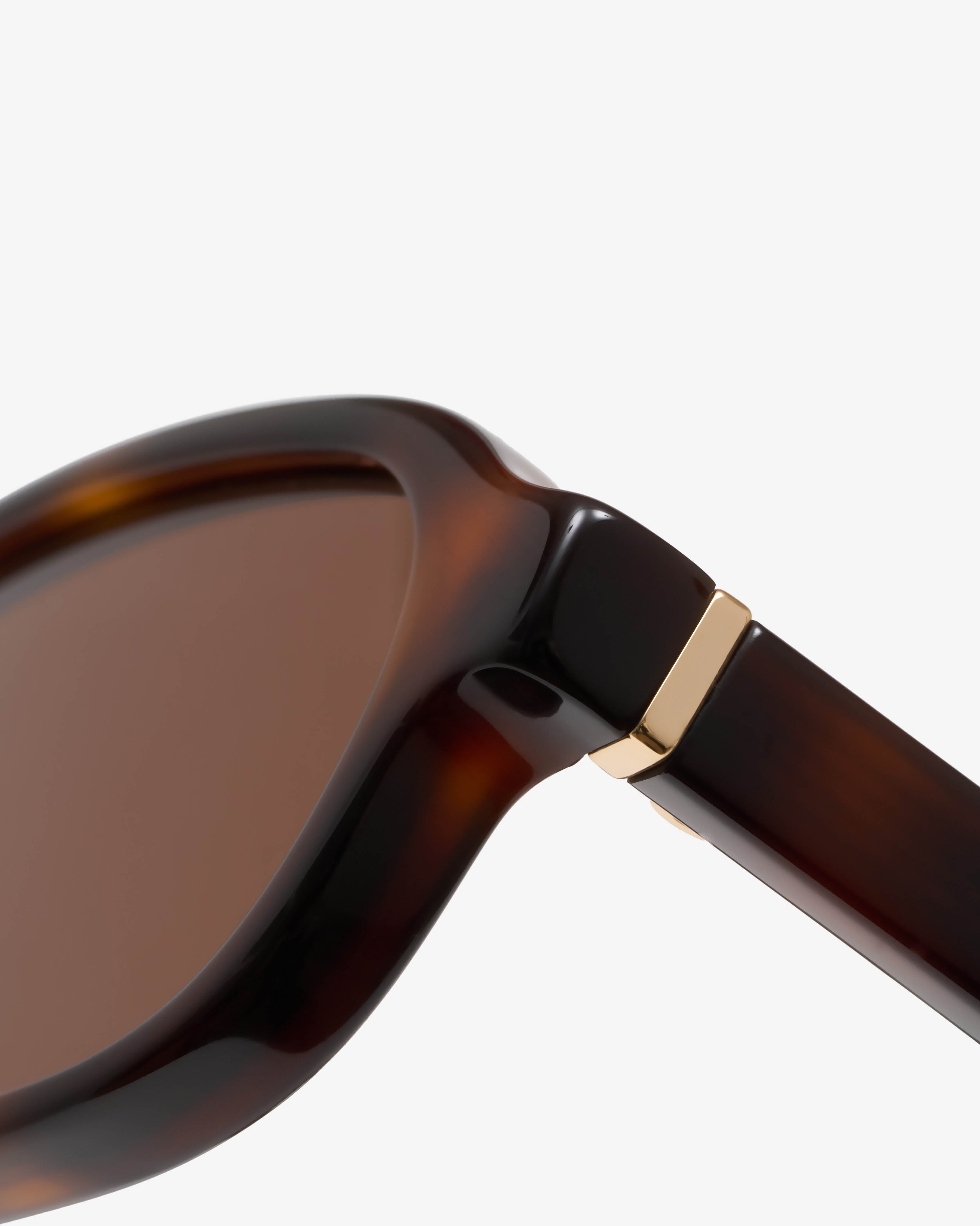 Montrose Ecaille - Solaire