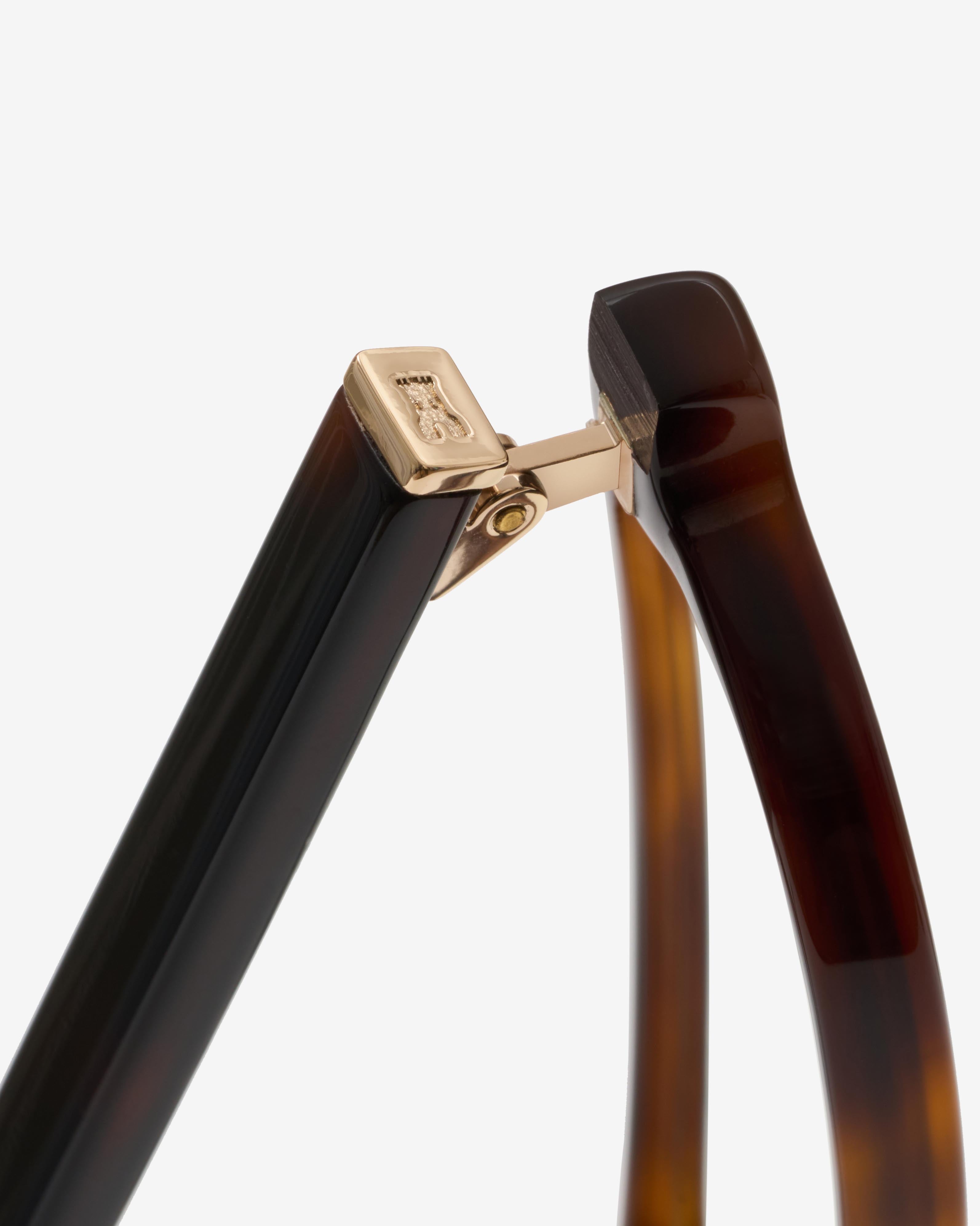 Montrose Ecaille - Lumière Bleue