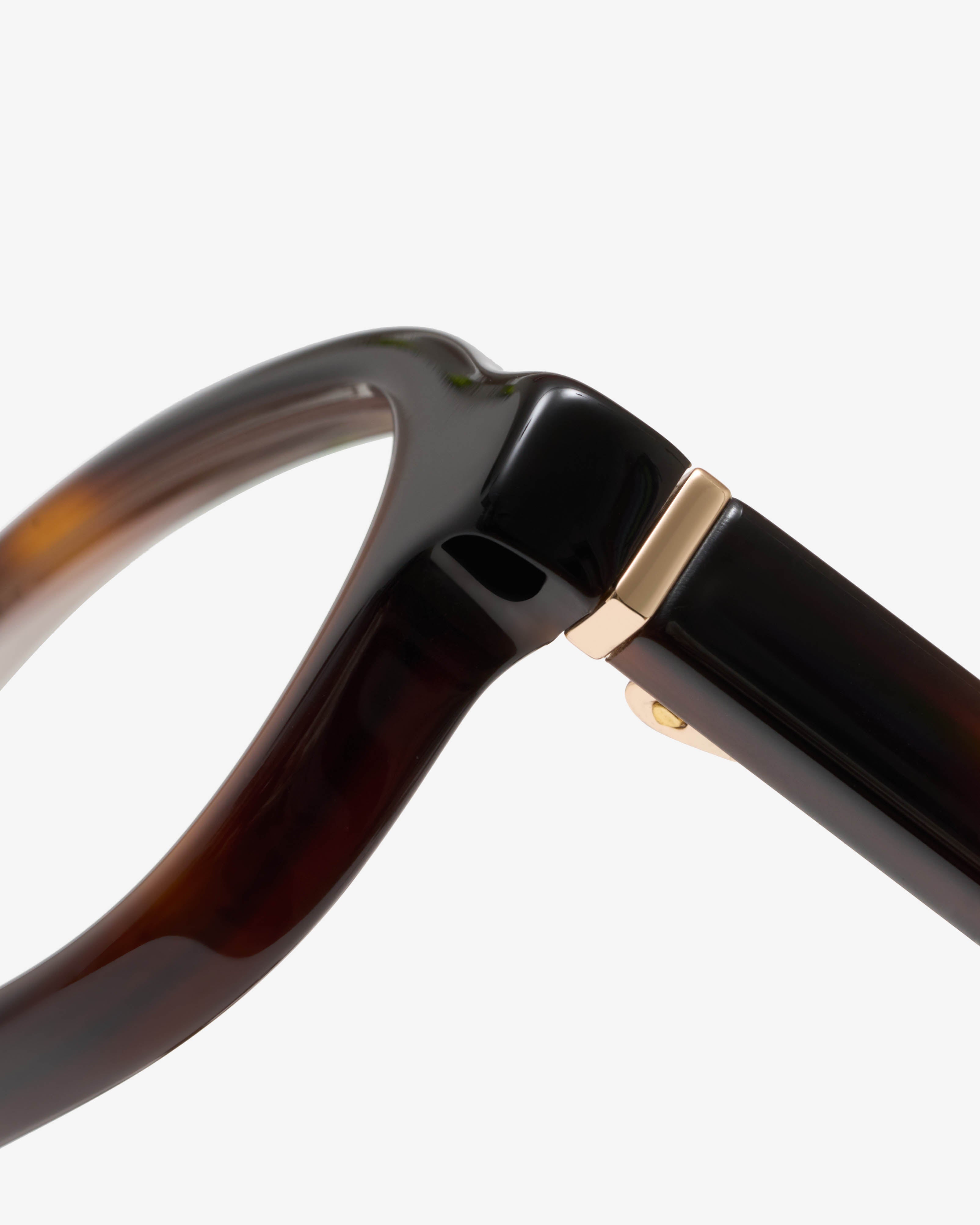 Montrose Ecaille - Lumière Bleue