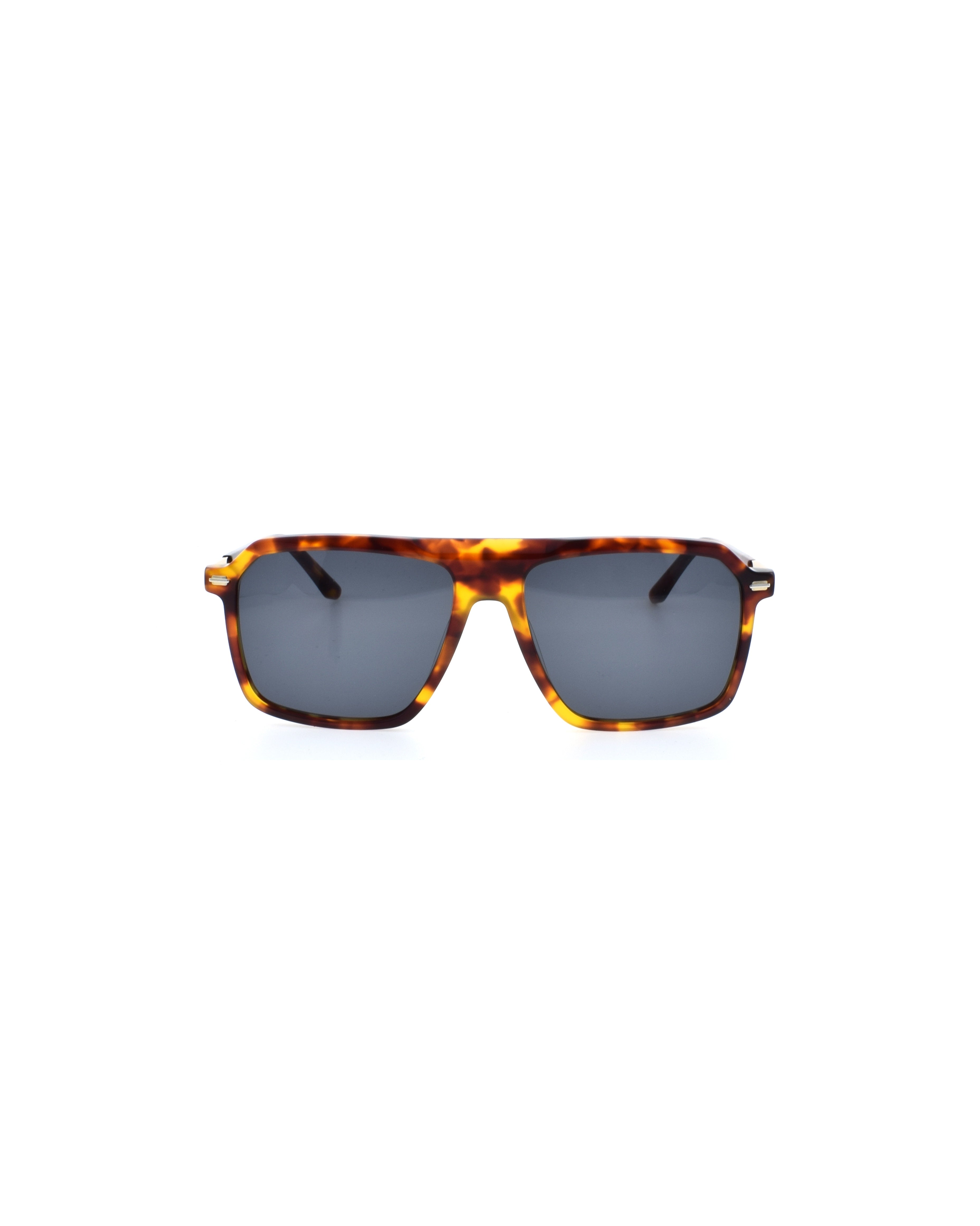 Milan Ecaille - Solaire