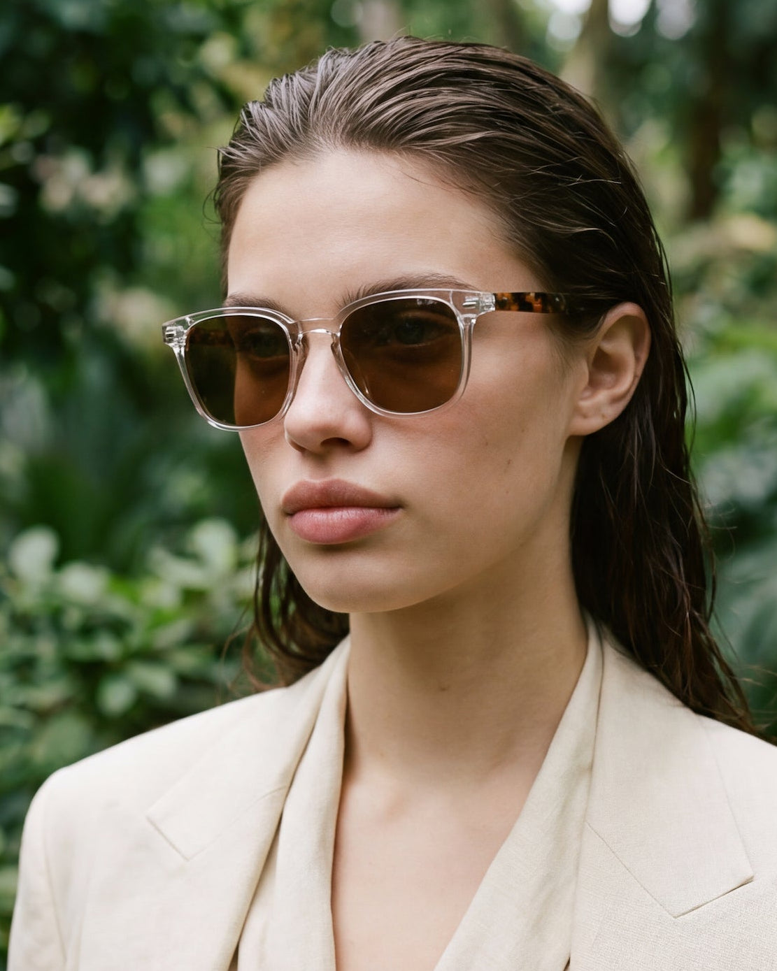 Norris Transparent - Solaire