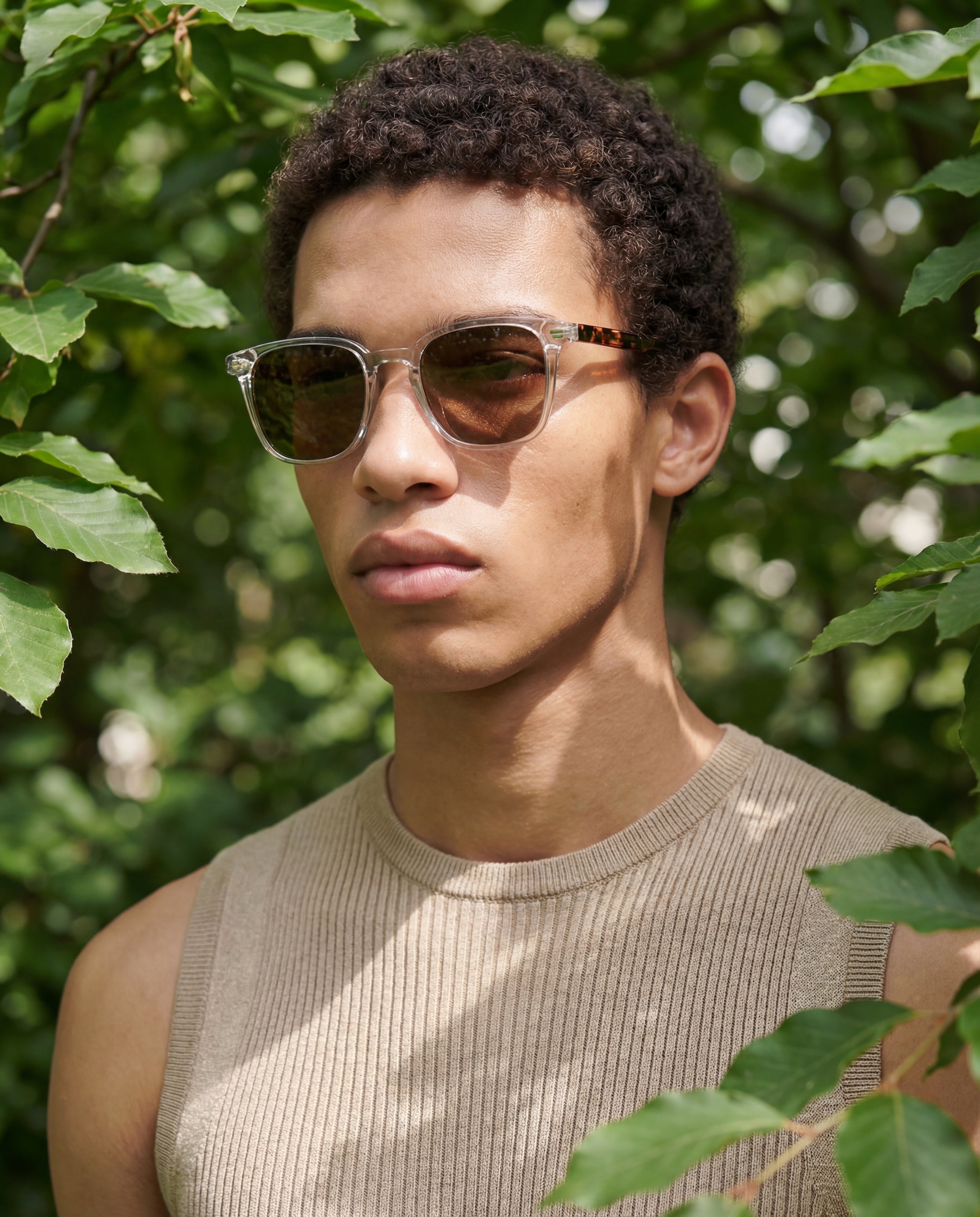 Norris Transparent - Solaire