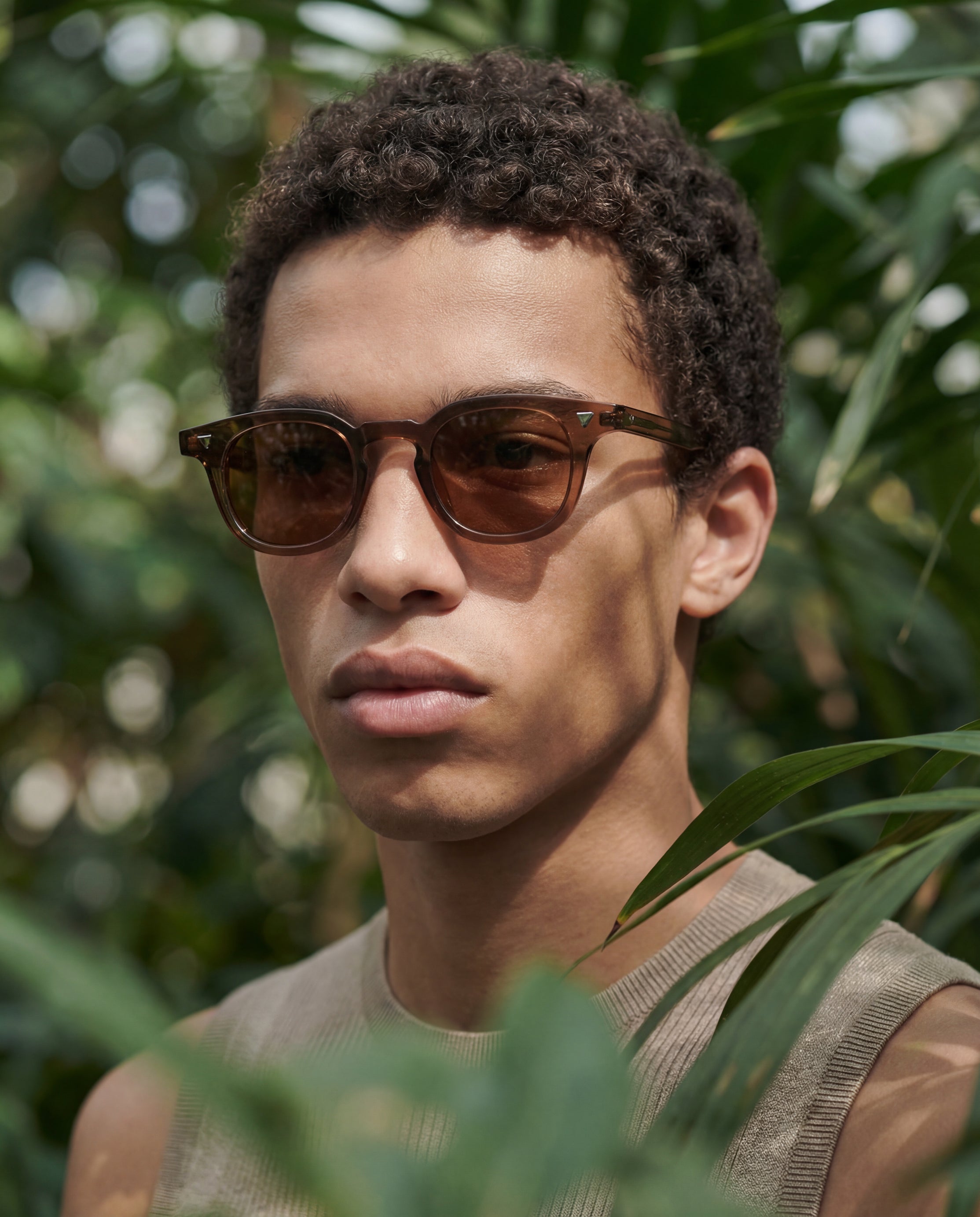 Revel Marron - Solaire