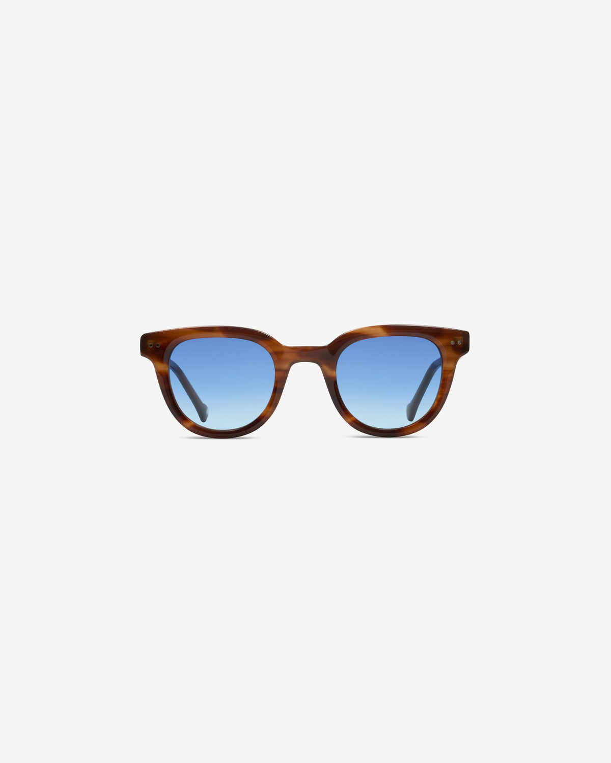 Lunettes de soleil Scott Ecaille — vue de face