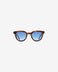 Scott Tortoise - Sunglasses