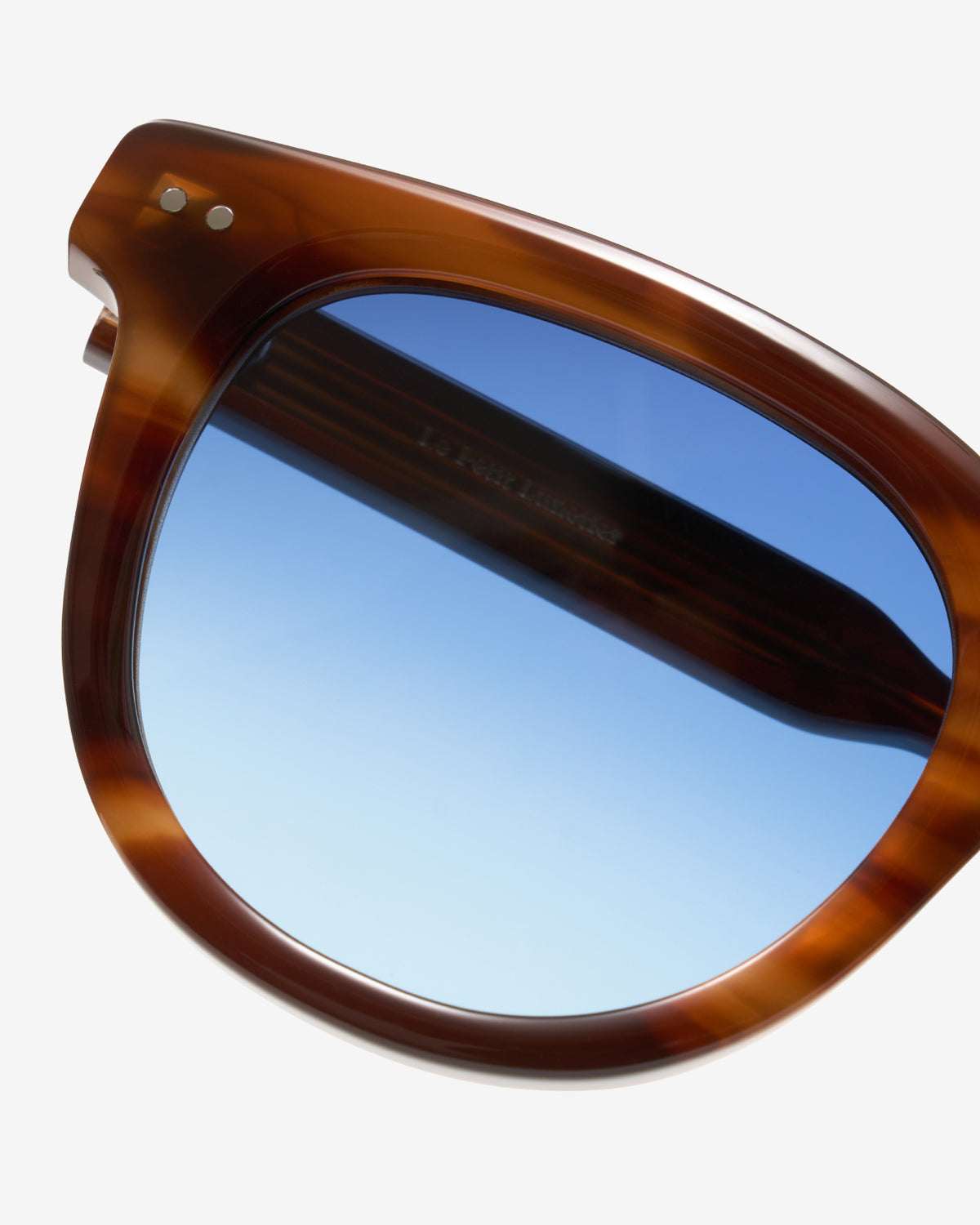 Lunettes de soleil Scott Ecaille — gros plan sur la branche
