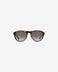 Seymour Tortoise - Sunglasses