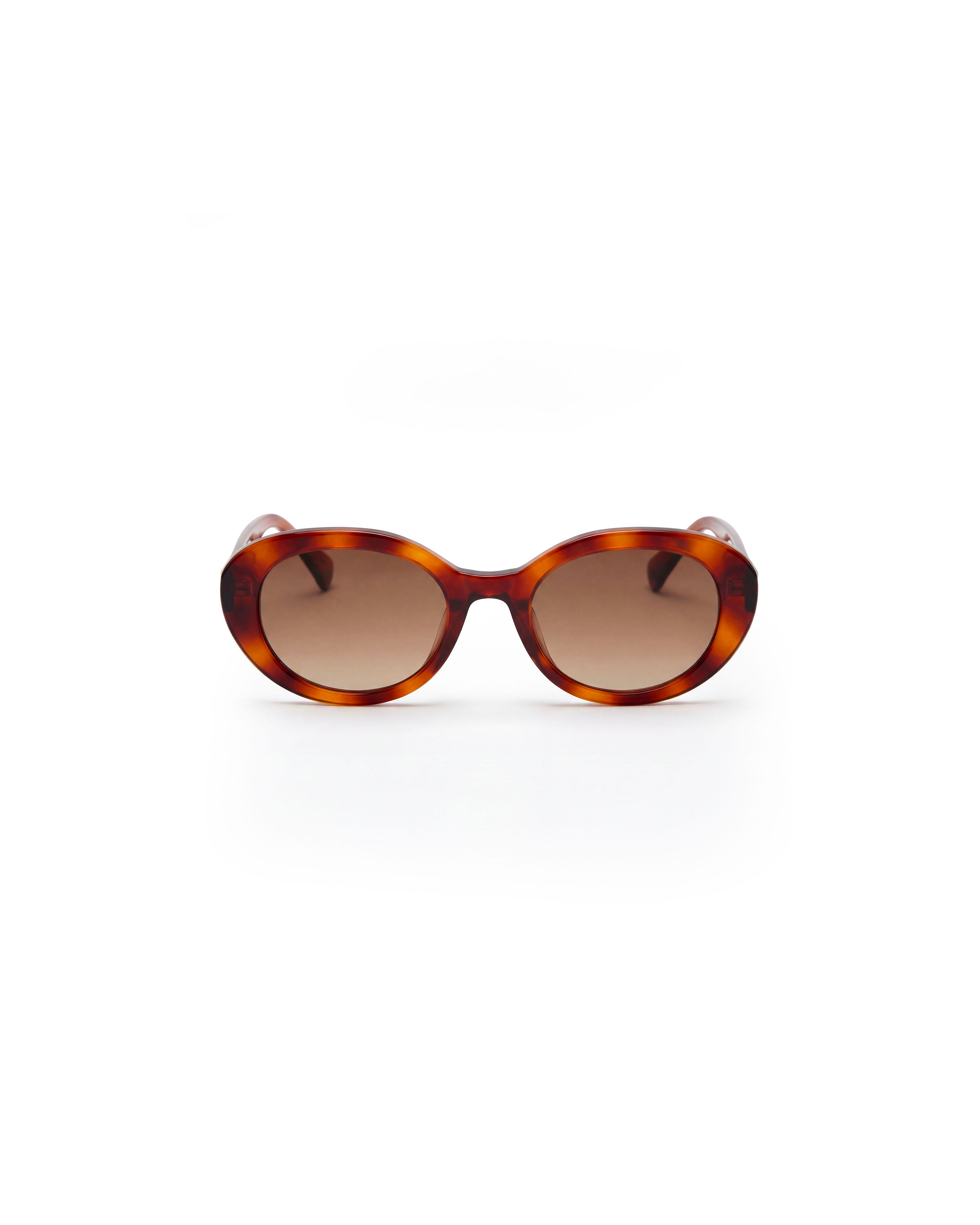 Sienna Tortoiseshell - Sun