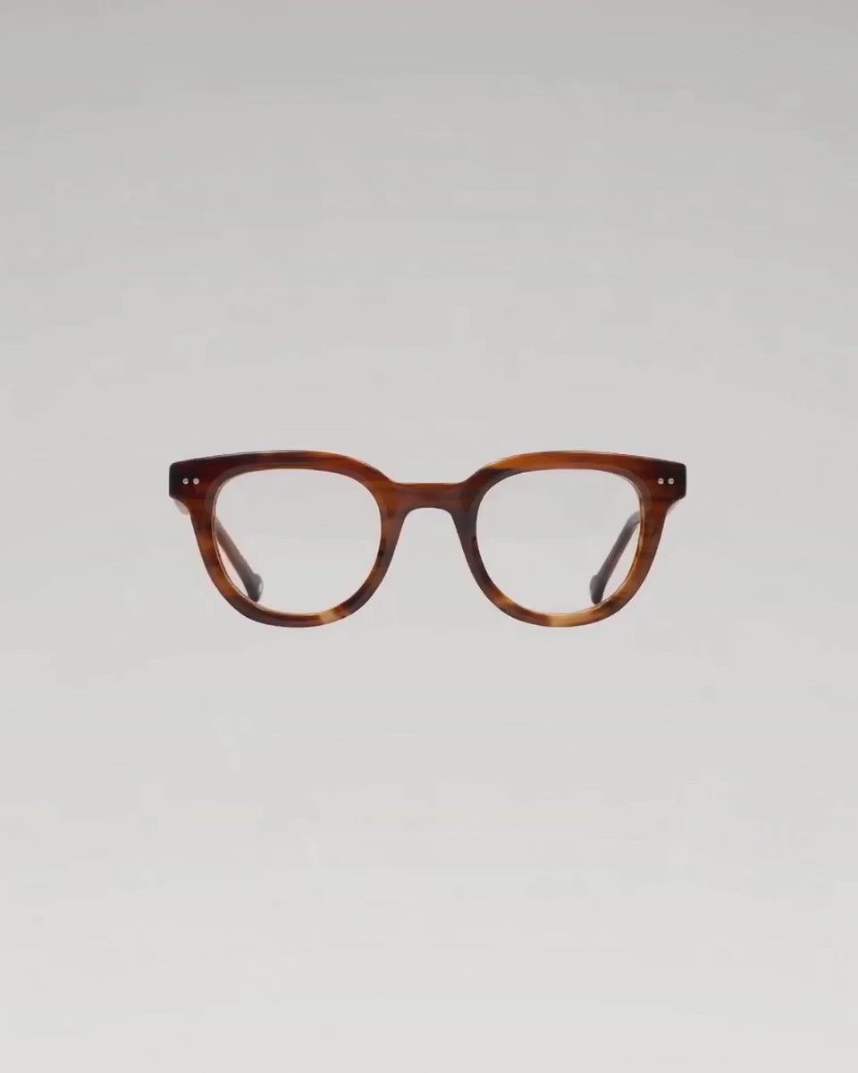 Monture optique Scott Ecaille — vue à 360°